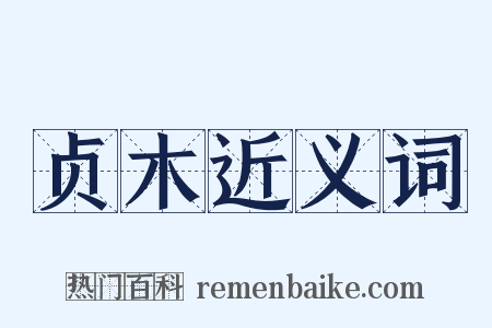 贞木近义词是什么意思的图片